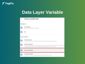 Data Layer Variable