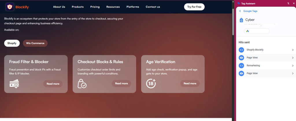 Verify the Conversion Setup