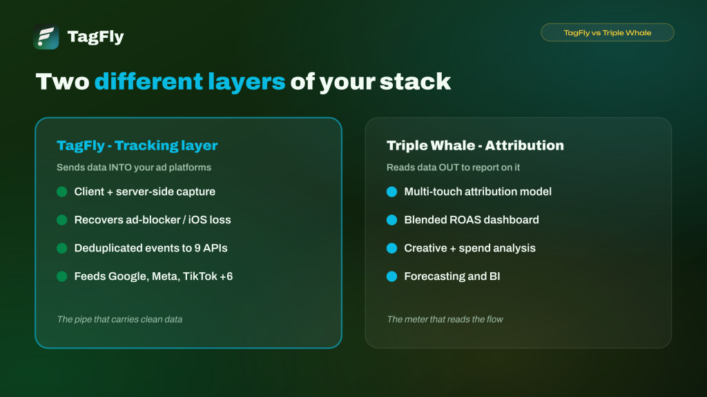 TagFly and Triple Whale difference